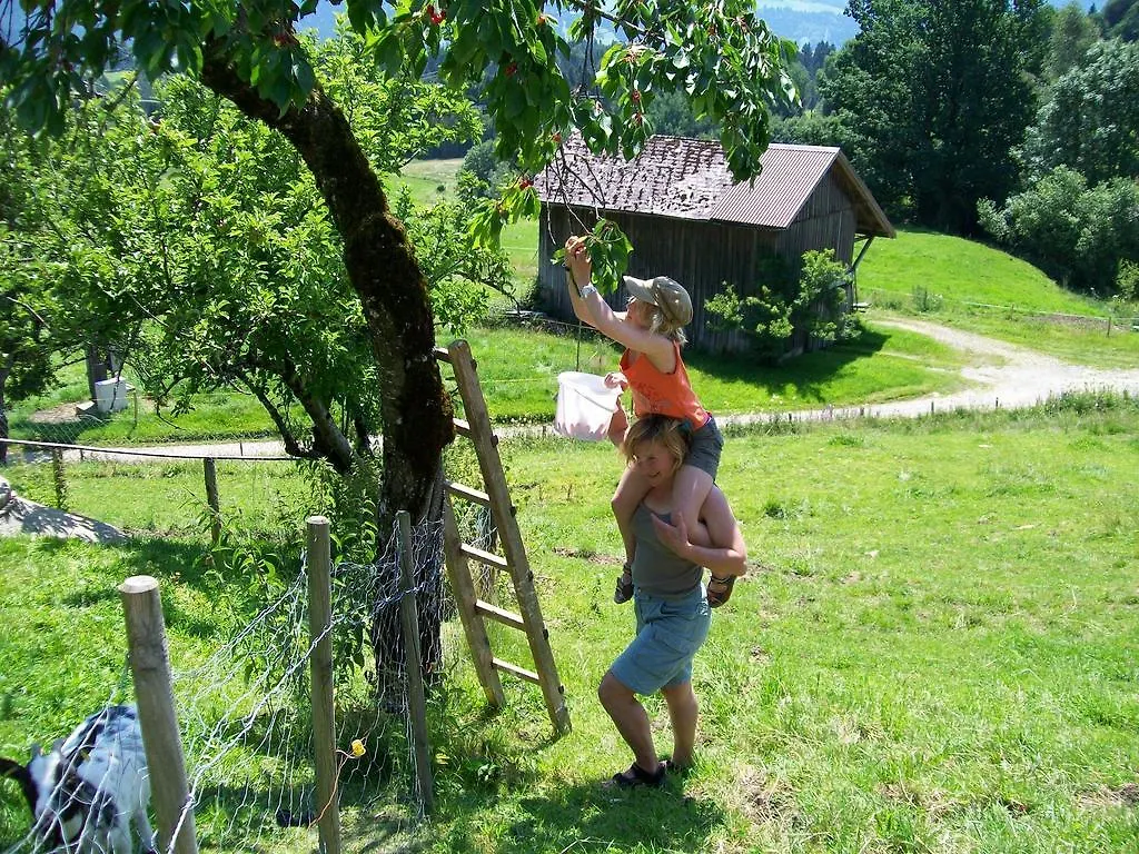 Ferienhof Reichart Scheidegg